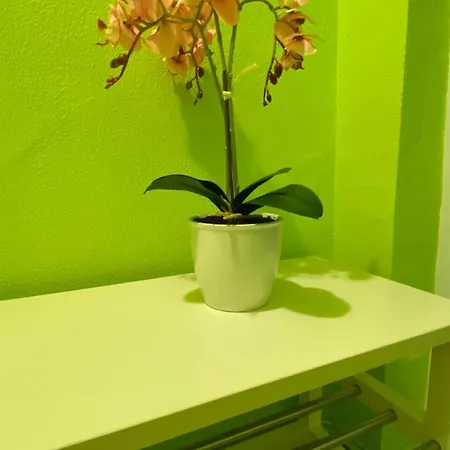 Lejlighed Aurora Sea Breeze